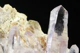 Attractive Amethyst Crystal Cluster - Las Vigas, Mexico #355003-1